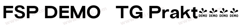 FSP DEMO   TG Prakt字体转换
